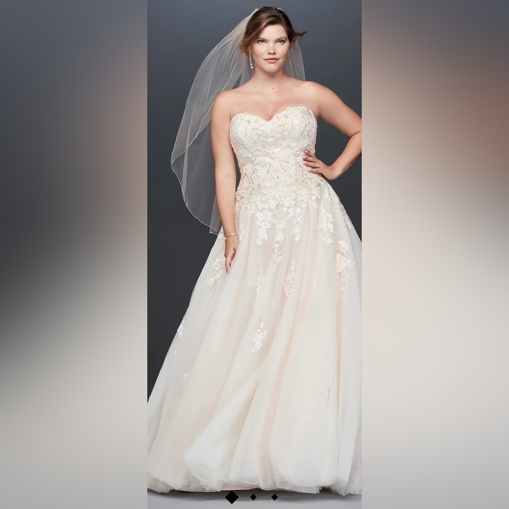 David’s Bridal Wedding Dress